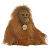 A reddish-brown orangutan plush toy from Miyoni by Aurora with long limbs and soulful brown eyes.